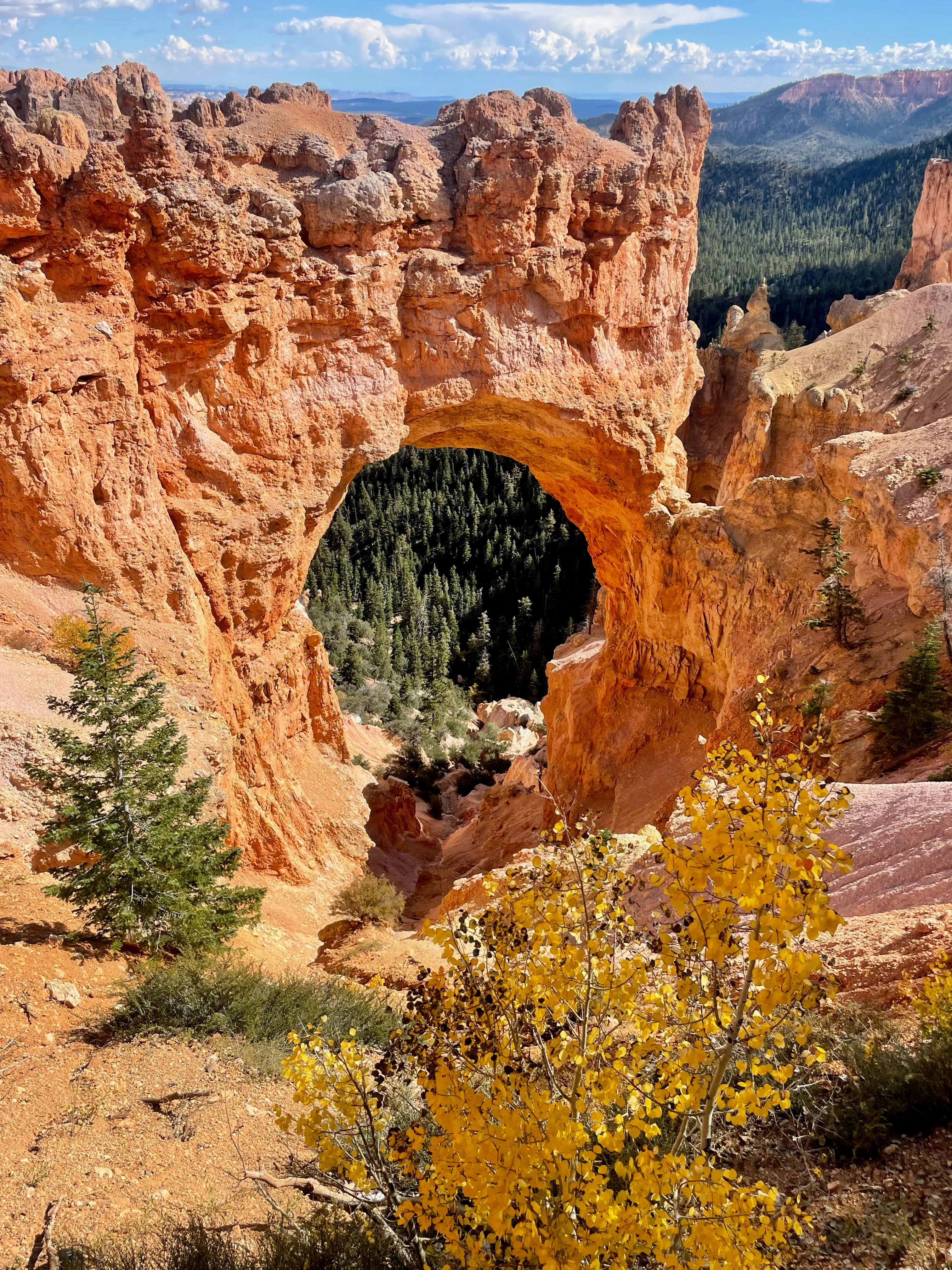 Original UTAZNM photograph of Bryce Natural Bridge