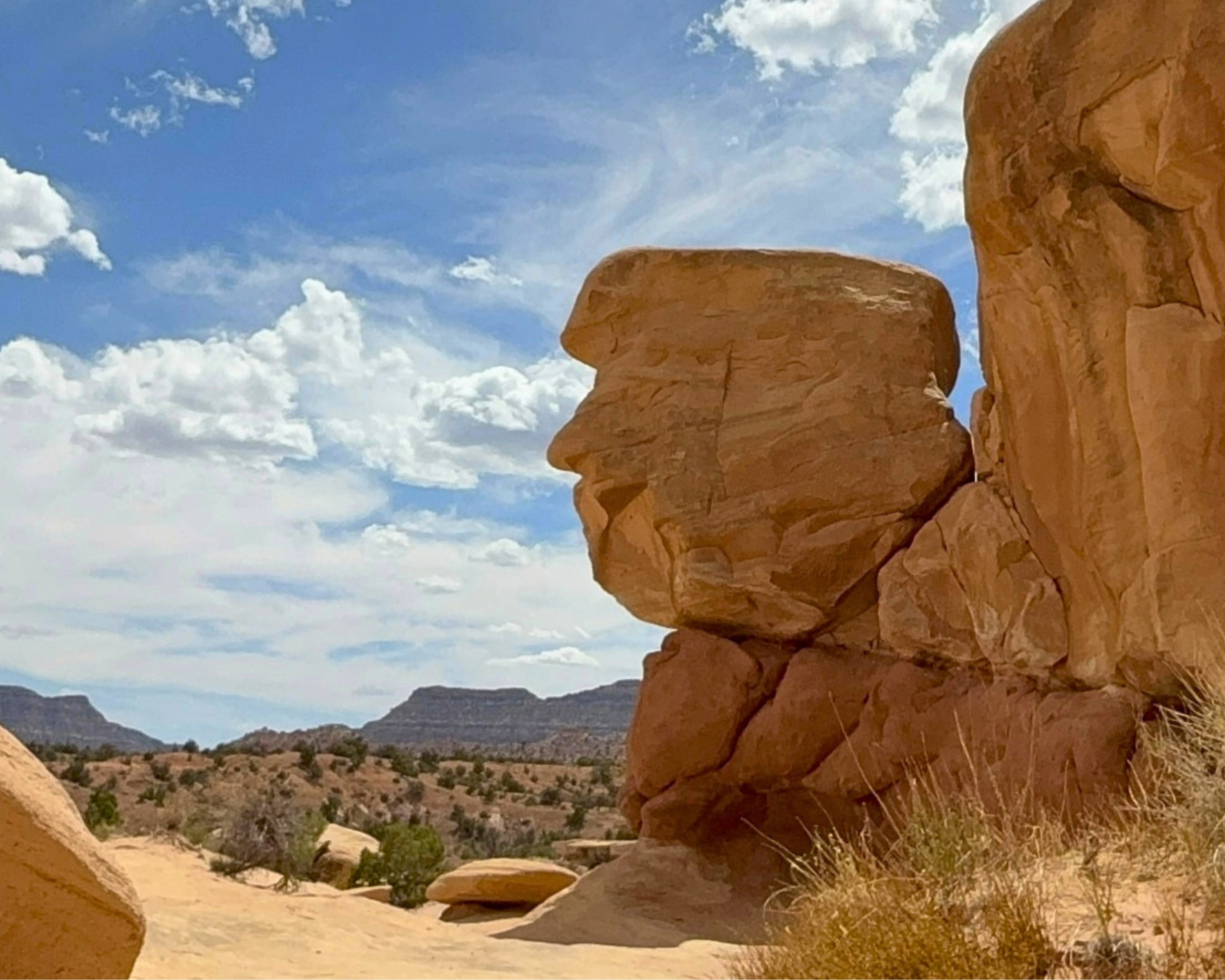 Most Wanted Rock™, a sandstone formation at Devil's Garden in Escalante, Utah, photographed by Jennifer for UTAZNM