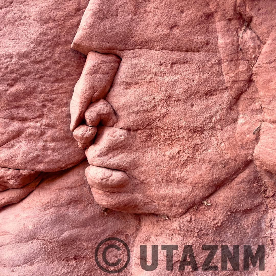 Original UTAZNM photograph